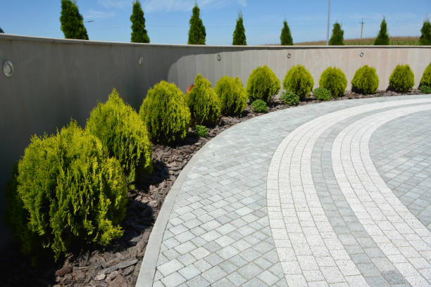 Best Custom Driveway Pavers  in Lander, WY